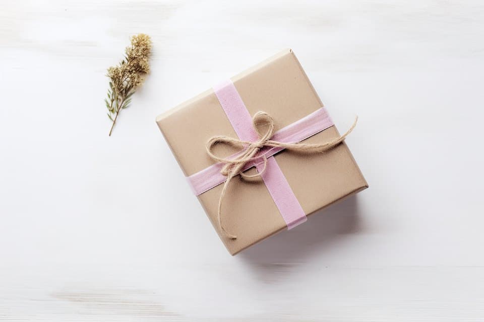 Wrapped Gift Box